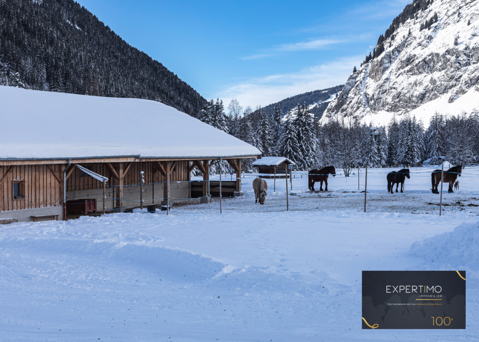 Image_, Appartement, Champagny-en-Vanoise, ref :55937-1 CL 03