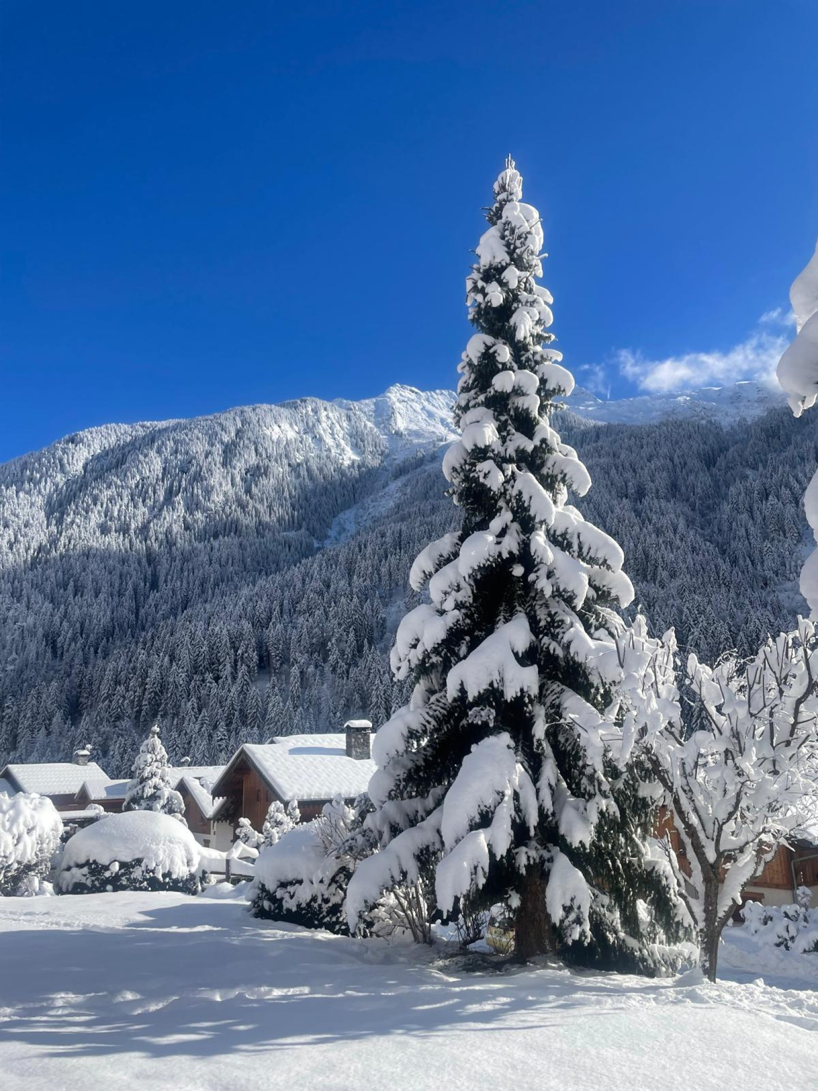 Image_, Maison, Champagny-en-Vanoise, ref :94732 CL 10