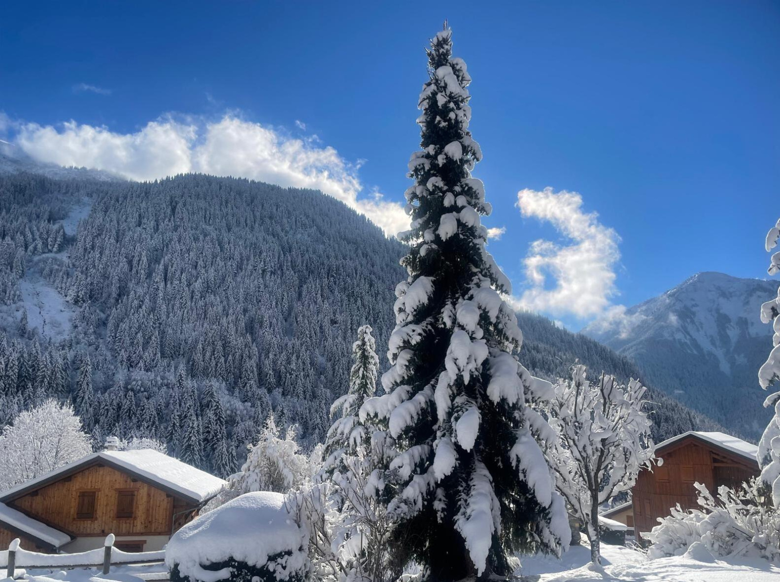 Image_, Maison, Champagny-en-Vanoise, ref :94732 CL 10